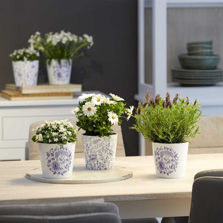 Vaso In Ceramica Sonora Di Soendgen – Made In Germany, Resistente Ai Raggi UV, Impermeabile, Per Interni Ed Esterni - 3